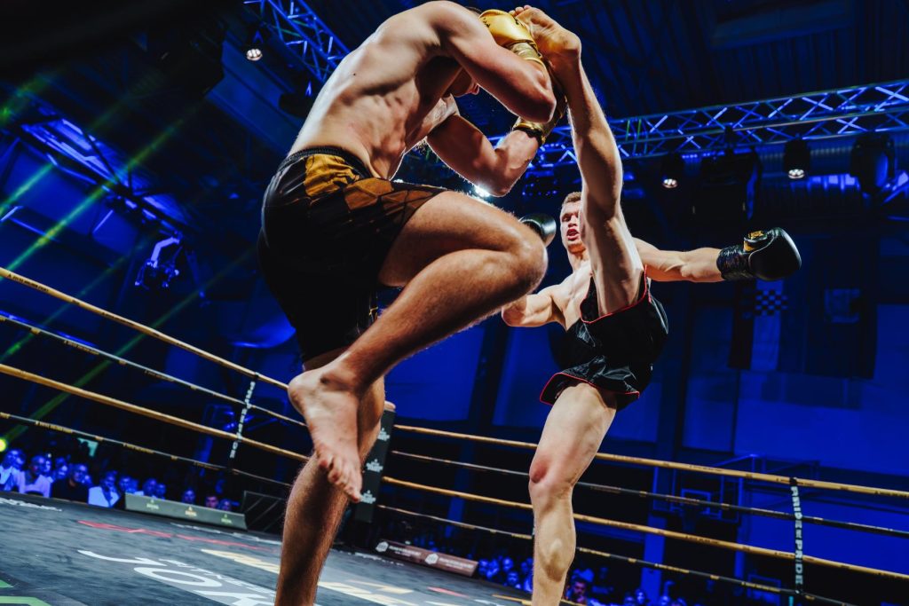 Arena Golden Fight 12 (31)